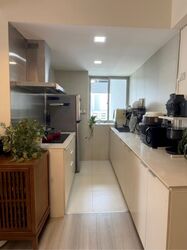 The Metropolitan Condominium (D3), Condominium #623483351
